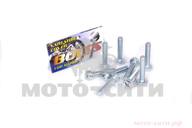 Болты крышки вариатора 139QMB / 139QMA (под 12-е колесо, крестообразный шлиц, 9 шт) "AS"