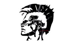 Декоративная наклейка "IROKEZ " (12x13 см, черная) "OLN"