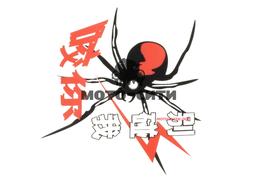 Декоративная наклейка "SPIDER " (12x11 см) "OLN"